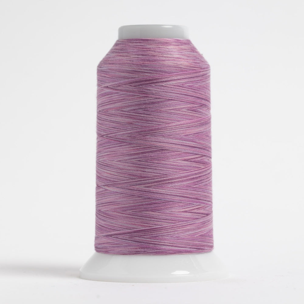 Omni-V 9030 Raspberry Parfait Purple