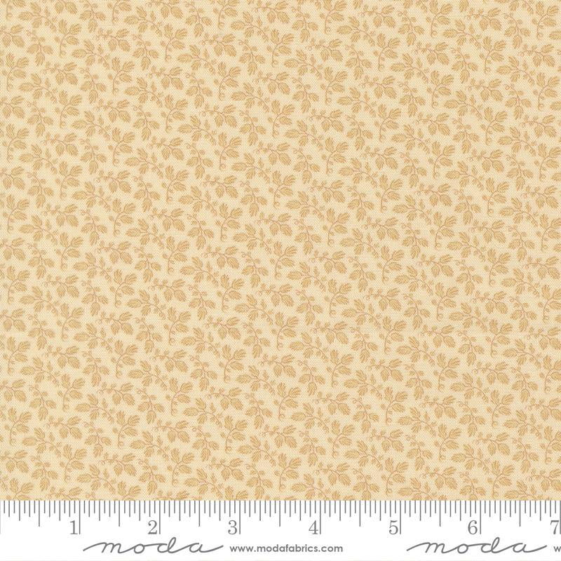47566-11 Miss Mollie Biscuit
