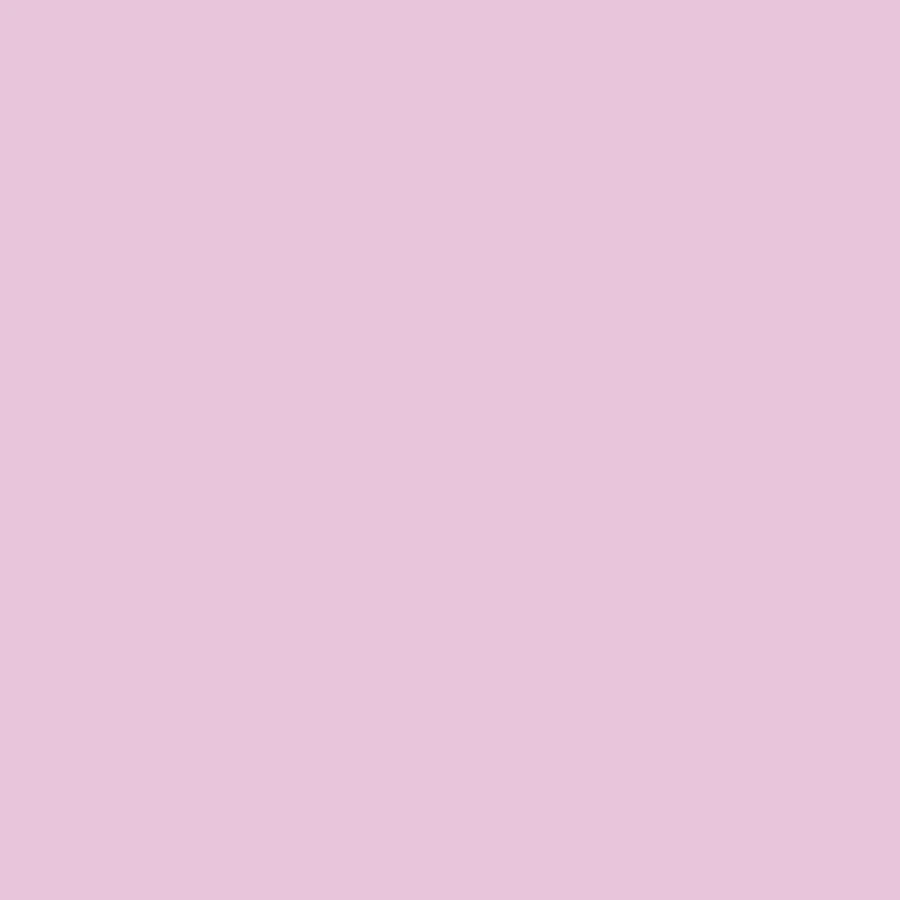 Tula Pink Solids Glitter