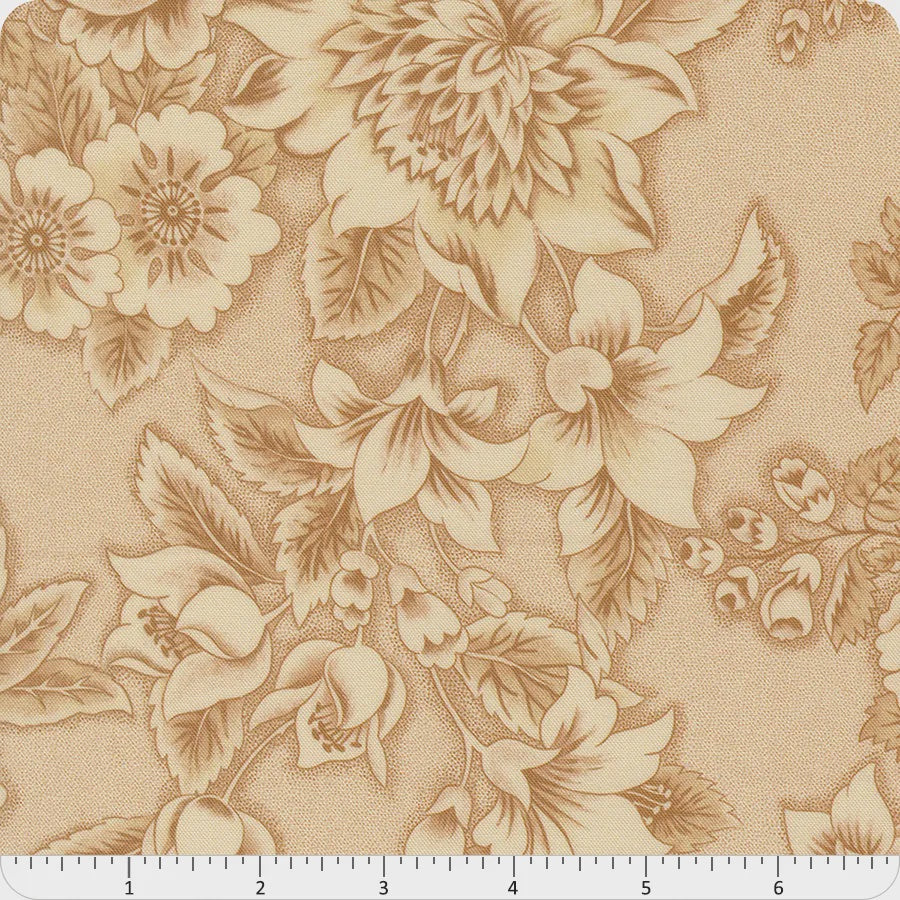 47560-11 Miss Mollie Biscuit