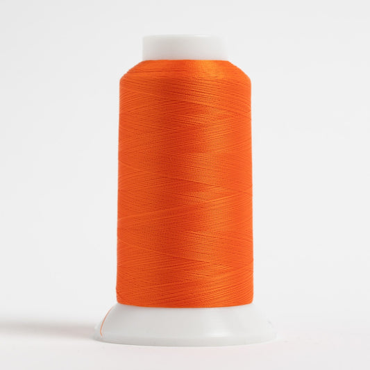 The Bottom Line #639 Bright Orange Cone