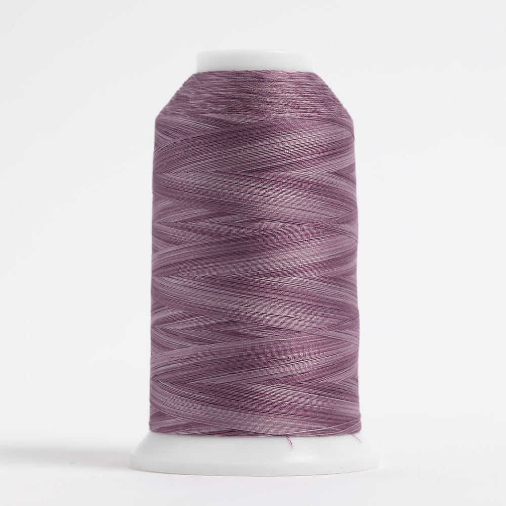King Tut #939 Heather Cone