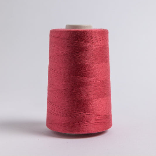 OMNI #3152 Climbing Rose