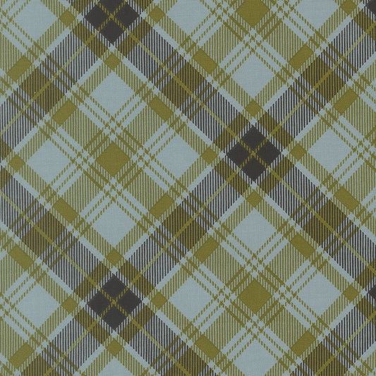 Chilly Christmas Plaid storm