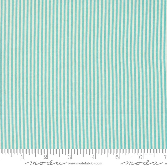 30757-13 Sunday Brunch Teal Lined