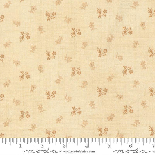 47564-13 Miss Mollie Biscuit