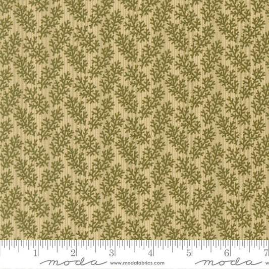 47565-13 Miss Mollie Summer Green