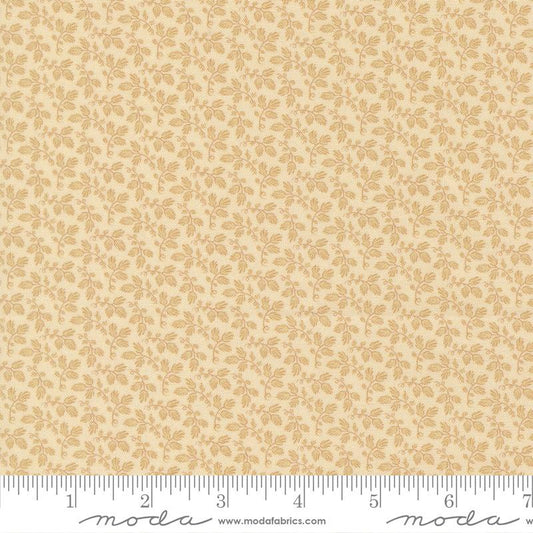 47566-11 Miss Mollie Biscuit
