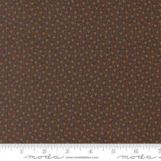 47568-17 Miss Mollie Brown Black