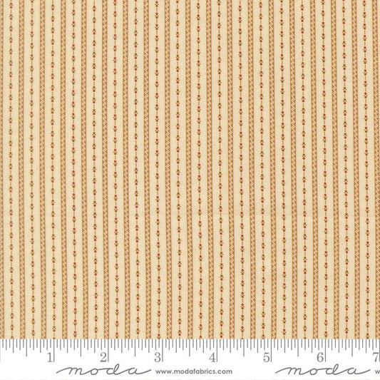 47570-11 Miss Mollie Biscuit