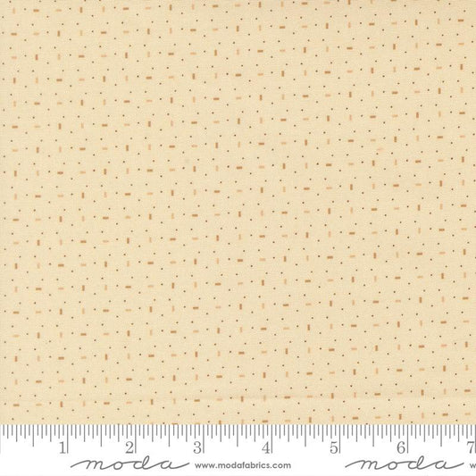 47571-11 Miss Mollie Biscuit