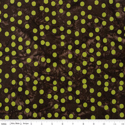 Polka Pop Espresso BT21400-139