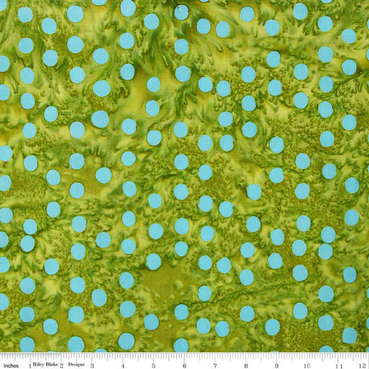 Polka Pop Pistachio BT21400-283