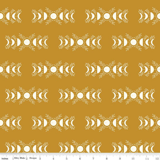 Apothecary - Celestial - Gold - Amber Elliot - C17552-GOLD