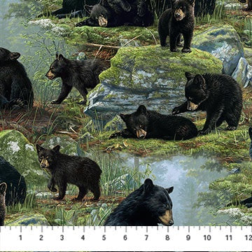 DP27622-99 Black Multi Bear