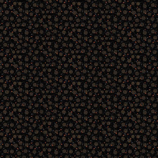 Midnight Cheddar - Lollipops - Black