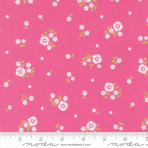 Joysome Petunia 29252 26