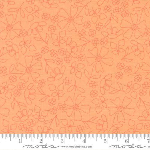 Joysome Cantaloupe 29253 15