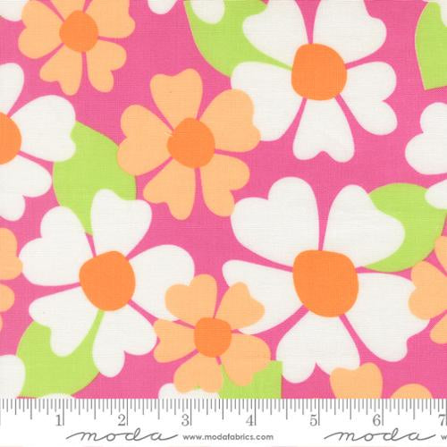 Joysome Petunia 29258 26