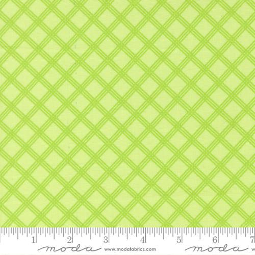 Joysome Honeydew 29255 19