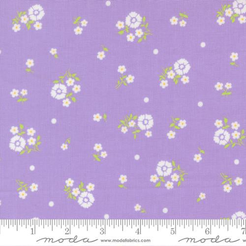 Joysome Lavender 2925222