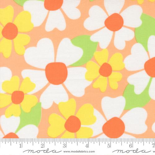 Joysome Cantaloupe 29258 15