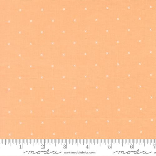 Joysome Cantaloupe 29257 15
