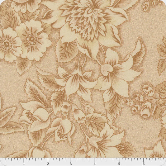 47560-11 Miss Mollie Biscuit