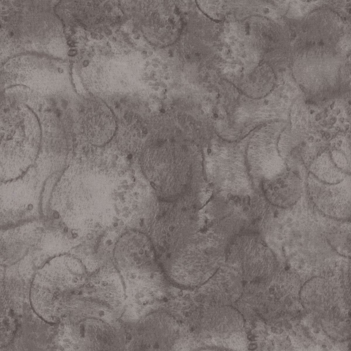 Painter's Watercolor Swirl - Gray - J Wecker Frisch - C680-GRAY